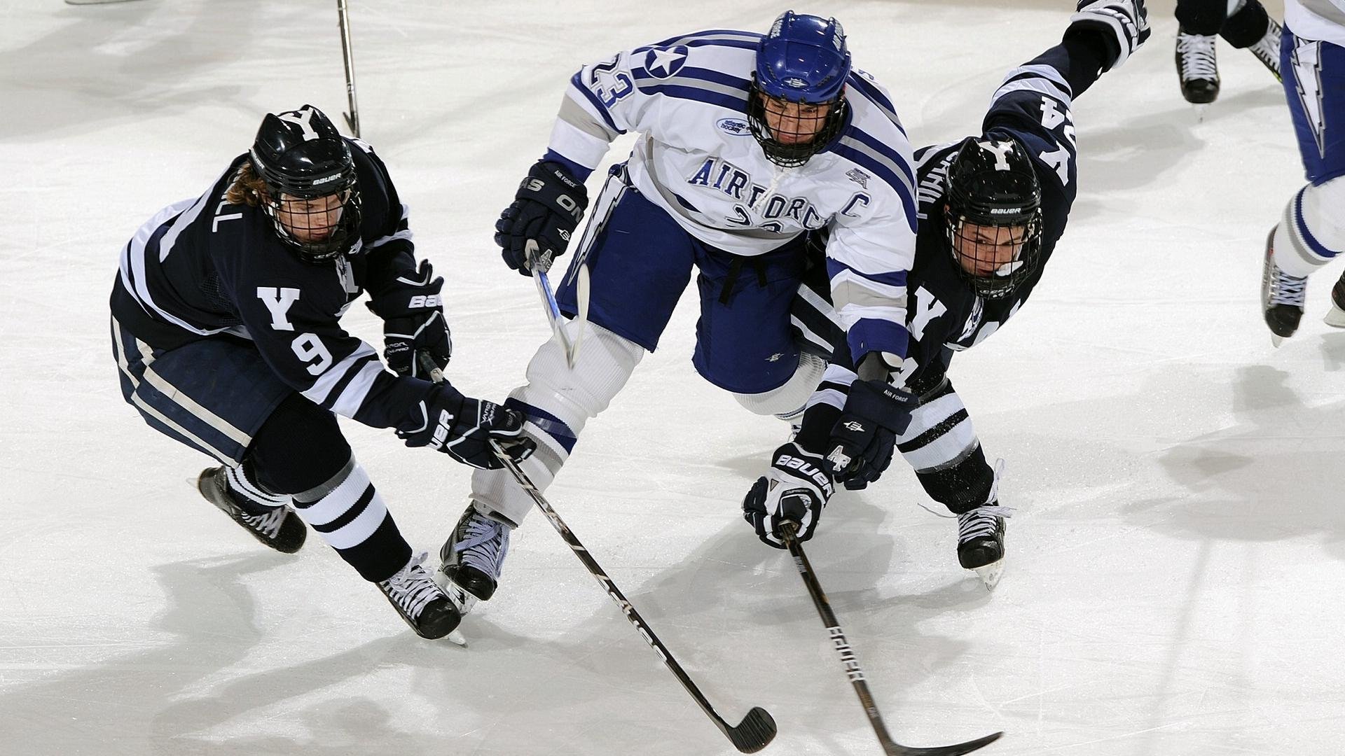 公牛队迎来重要胜利,未来希望无限,公牛队还有吗